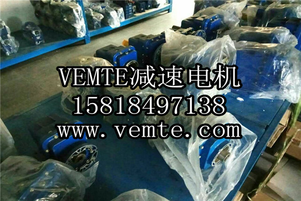 VEMT減速機電機制造廠家 (9)